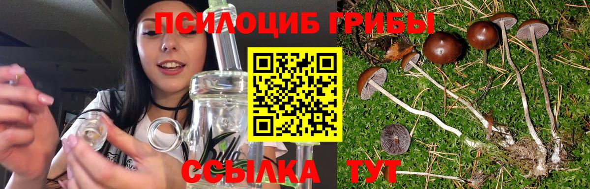 Псилоцибиновые грибы Magic Shrooms Тутаев